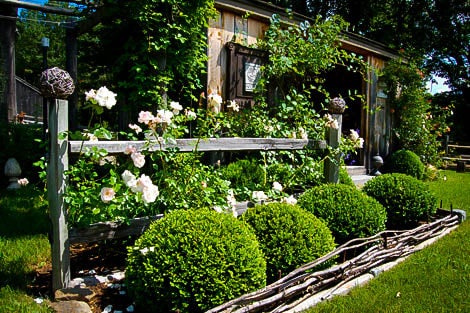 Boxwood, Green Mountain | Modern Homestead Home + Garden