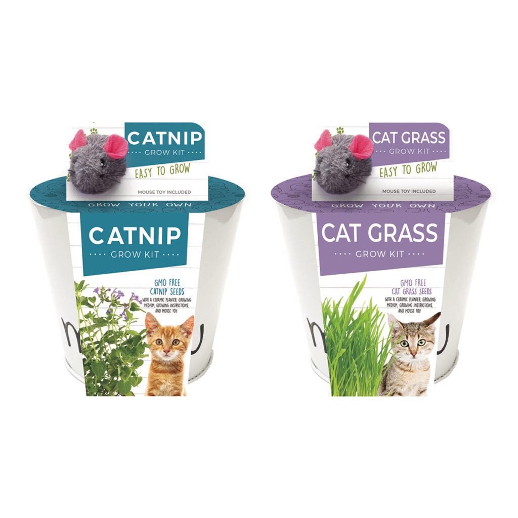 Catnip & Cat Grass Grow Kit | Modern Homestead Home + Garden